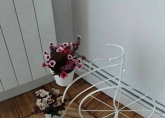 Lägenhet Casa Angela *