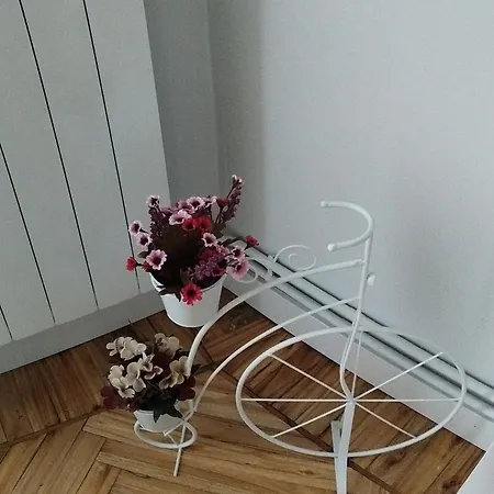 Apartamento Casa Angela *